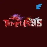 Logo tempur99